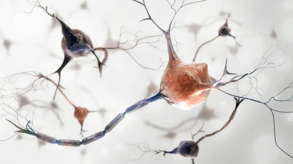 Concussions May Continue to Affect Driving After Symptoms Are Gone iStock 000019170543Medium 1