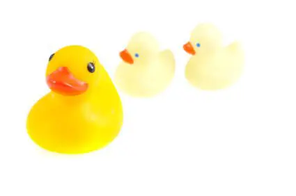 Blog 16 Three yellow rubber ducks