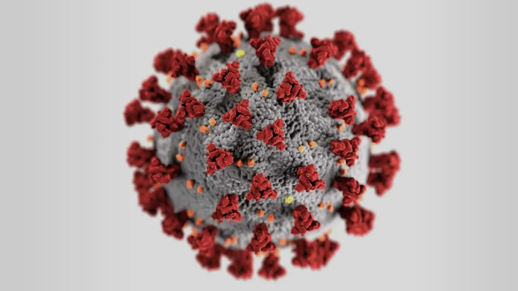 Coronavirus (COVID-19) Resource Center 1 Close-up of microscopic rendition of Coronavirus