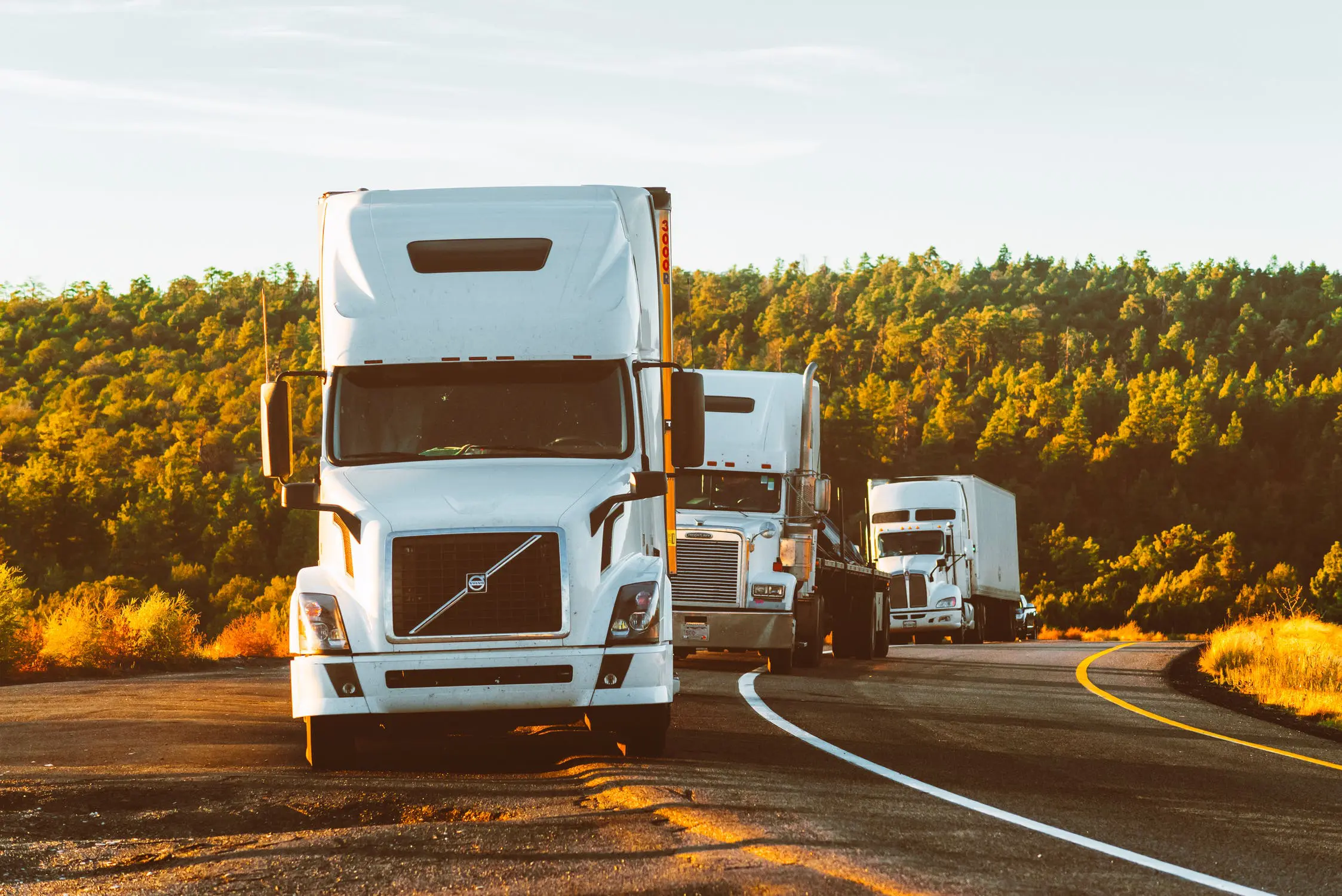 Victim of Fiery Trucking Accident Identified pexels photo 2199293