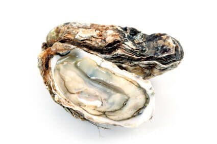 Blog 12 Oysters