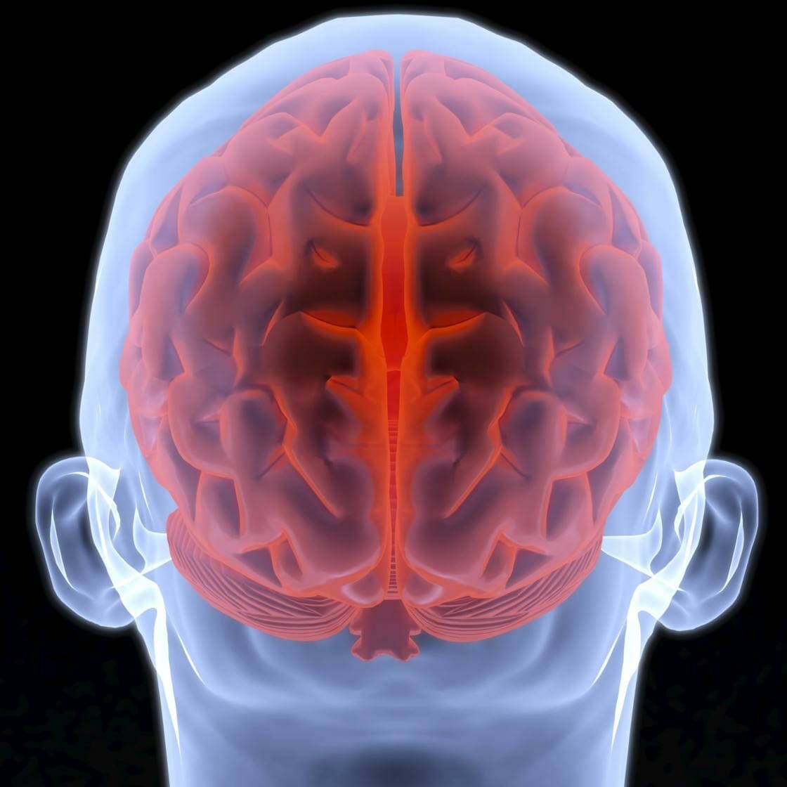 Blog 12 3D rendering of a brain inside a human skull