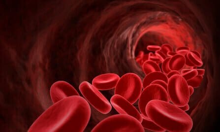 Rear-End Collisions in Texas: Who's Really at Fault? 15 Red blood cells flowing down a vein