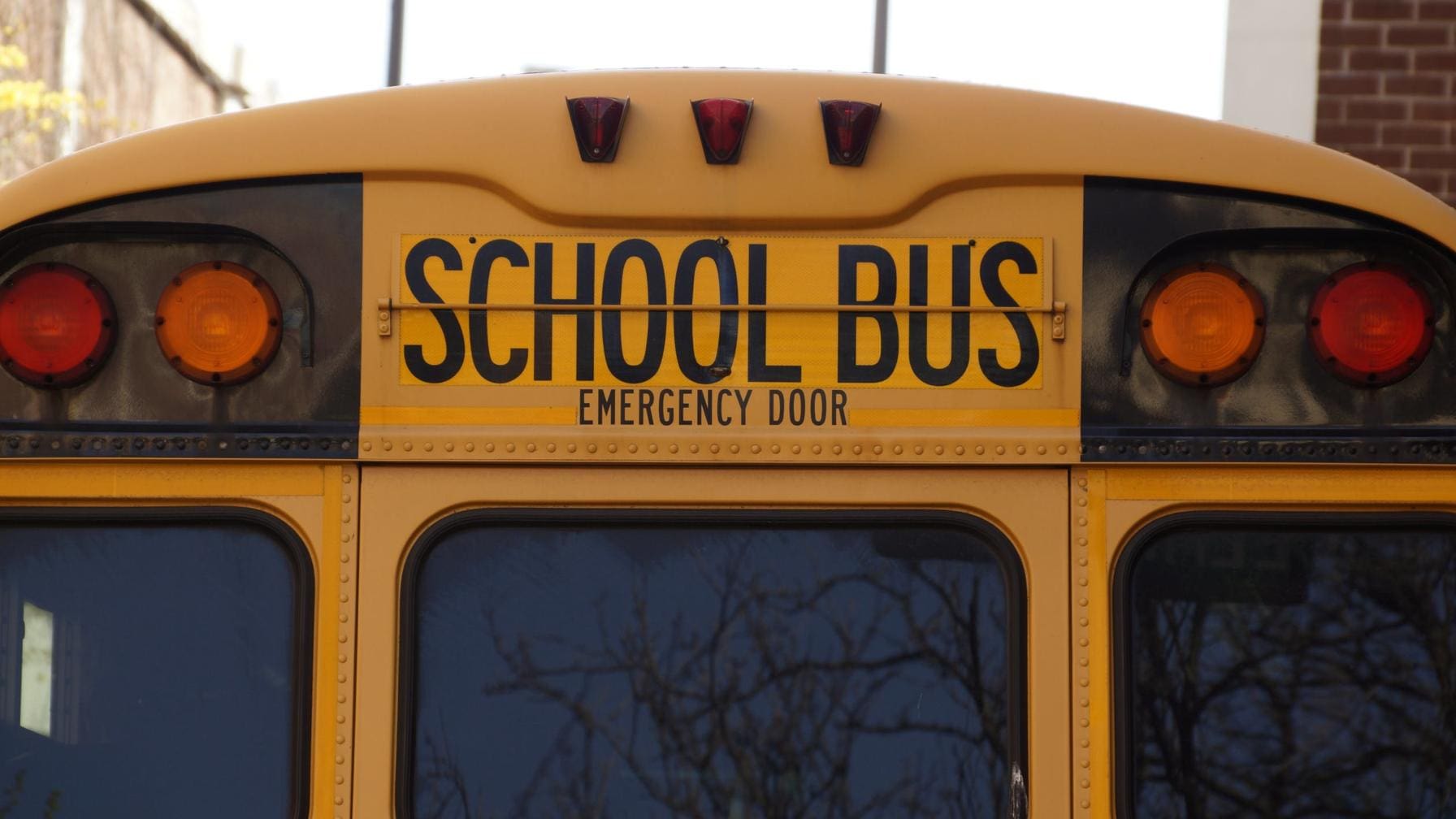 Rear-End Collisions in Texas: Who's Really at Fault? 5 Rear of a school bus emergency door exit