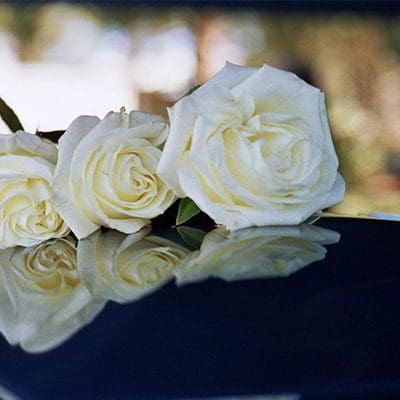Recent Results Wrongul Death