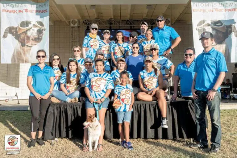 Associate Positions staff volunteers at 2016 thomas j henry bark in the park